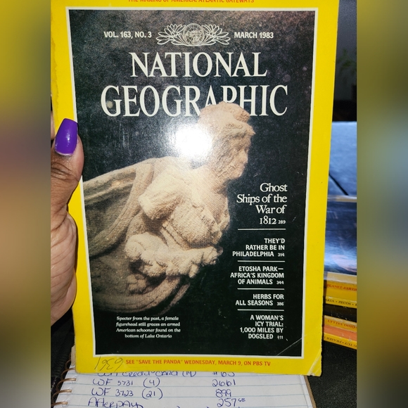Random National Geographic Magazines - Picture 9 of 12